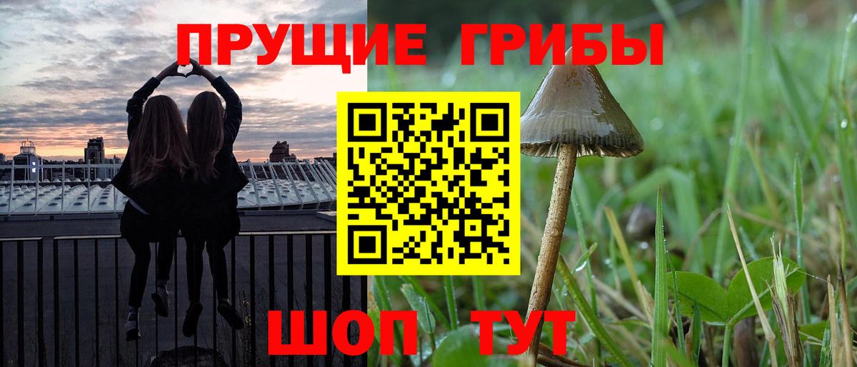 Псилоцибиновые грибы мицелий Калуга