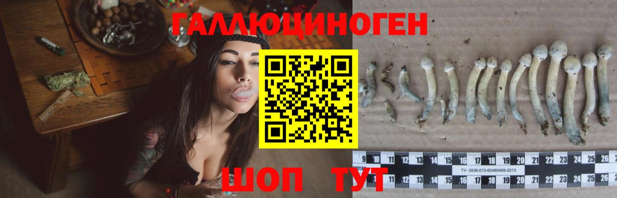 Псилоцибиновые грибы мицелий  Вход с VPN  Псилоцибиновые грибы Psilocybe  Калуга 